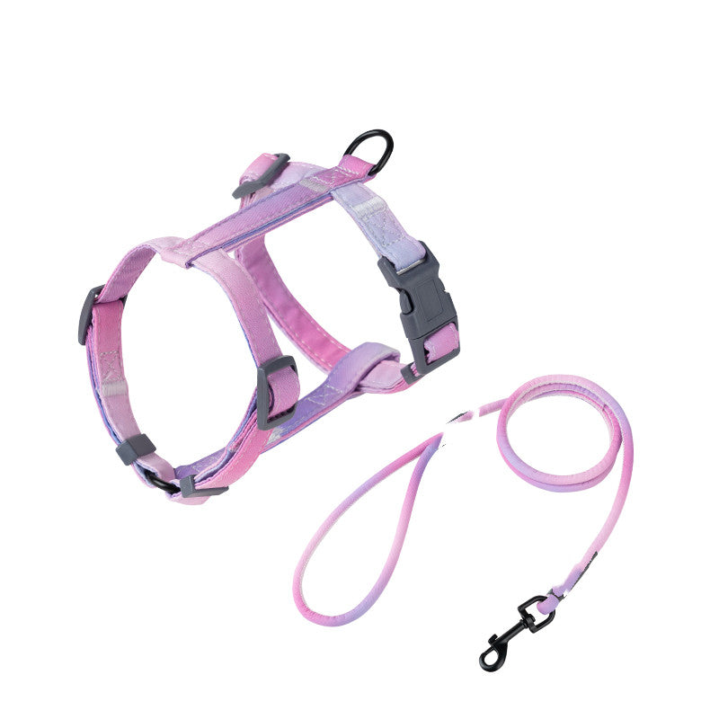 Fashion Pet Leash To Prevent Escaping And Breaking Free