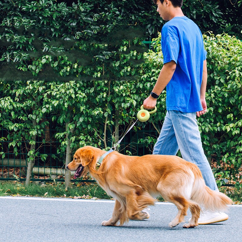 Reflective Retractable Pet Rope Leash For Safe Walks