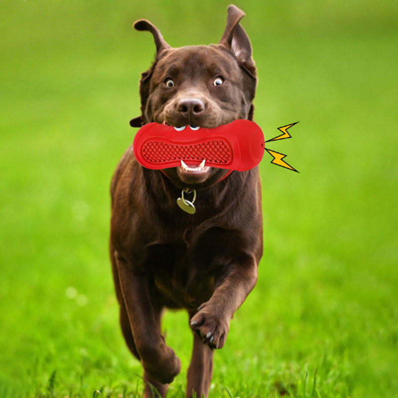 Vocal Rugby Shape Rubber Pet Chew And Teething Toy