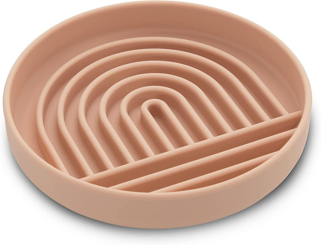 Simple Fashion Pet Slow Feeding Bowl Anti Choke