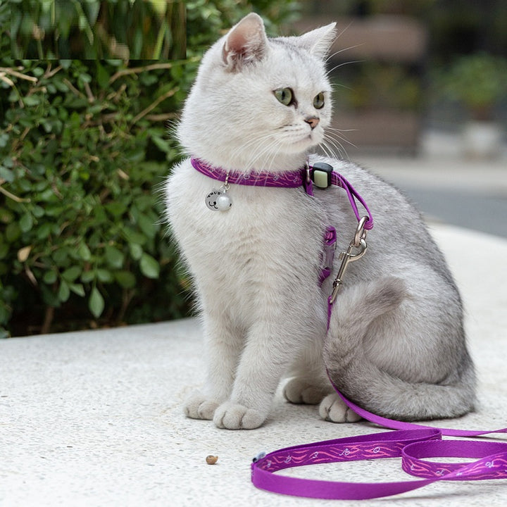 Pet Bell Vest Harness Leash Set For Walks