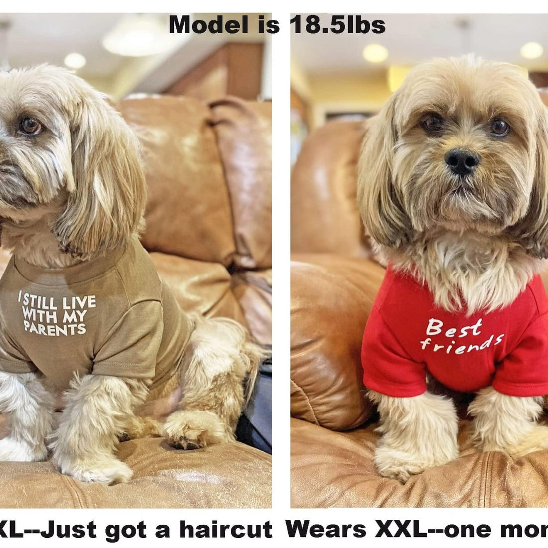 Round Neck Pet T Shirt Casual Clothing