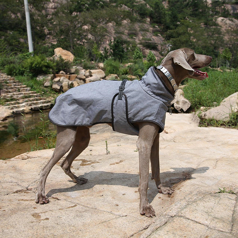 Winter Outdoor Pet Shell Ski Suit Jacket Protective Wear