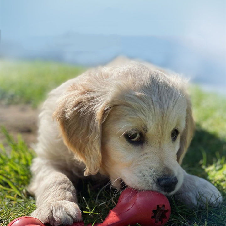 Rubber Pet Chew And Grinding Toy