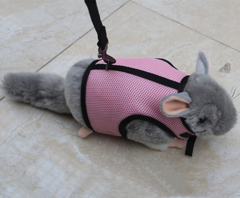 Small Adjustable Pet Leash For Comfortable Daily Walks