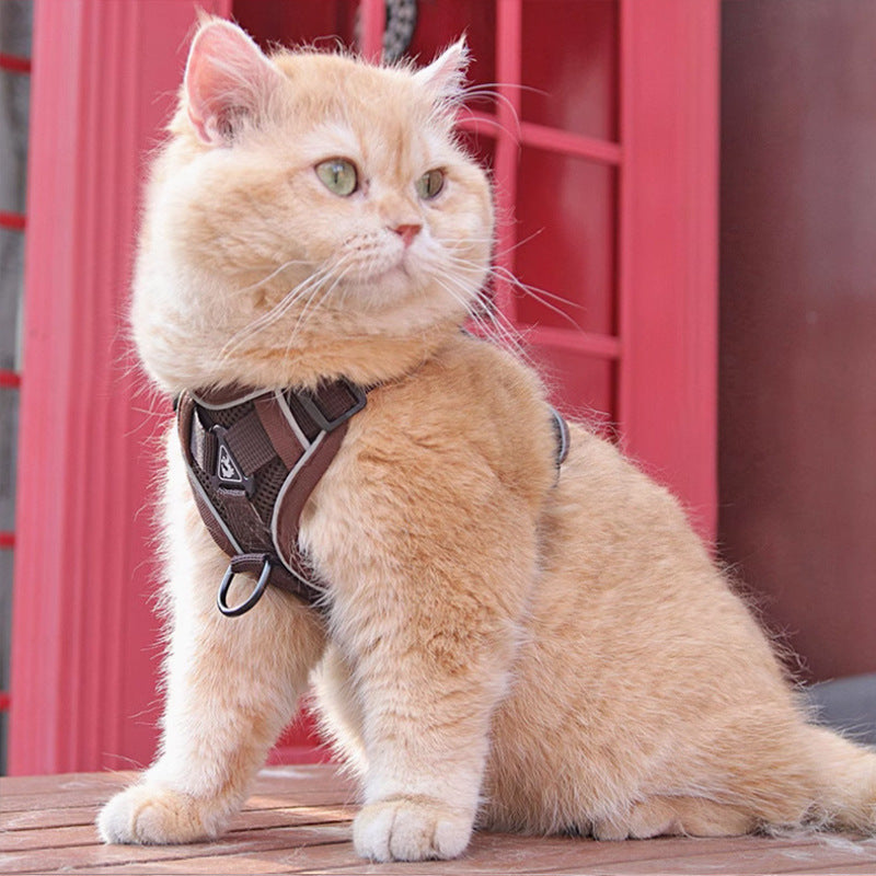 New Pet Harness Vest With Chest Strap And Leash