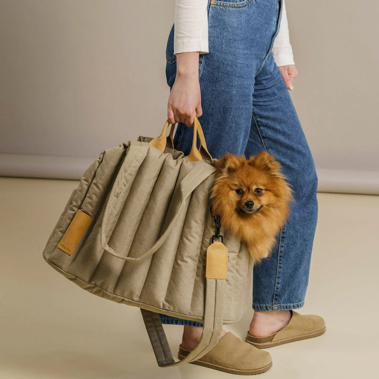 Lightweight Waterproof Pet Handbag Carrier Travel Bag