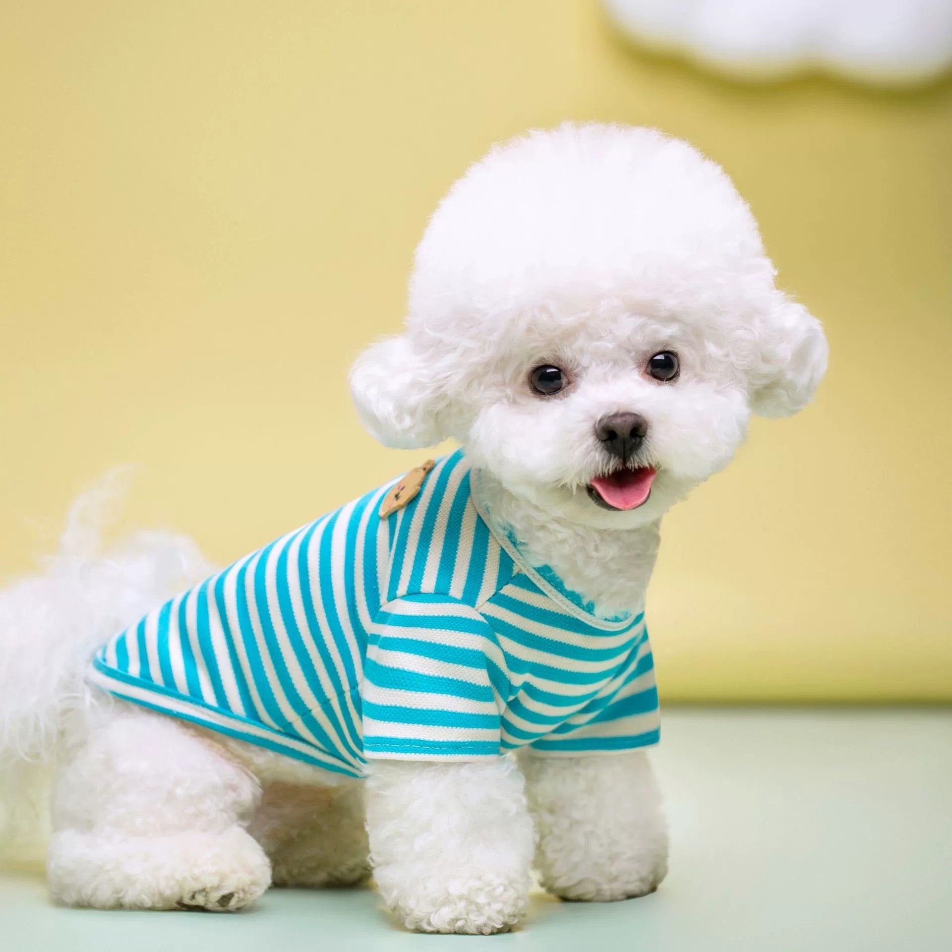 Breathable Summer Pet T-Shirt Lightweight Casual Wear