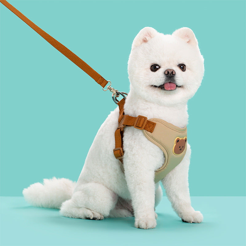 Pet Outing Strap Leash For Daily Walks