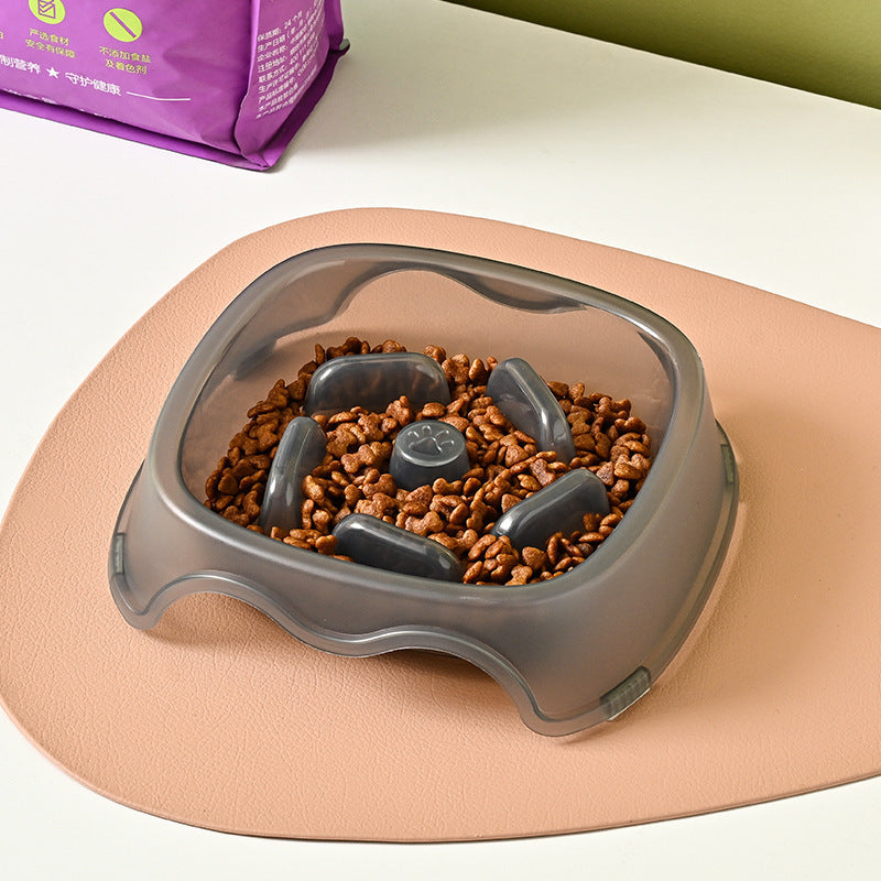 Pet Slow Feeding Bowl Anti Choking Water Feeder