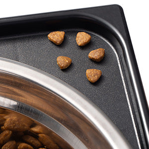Elevated Pet Feeding Bowl Neck Protection Anti Tipping Design