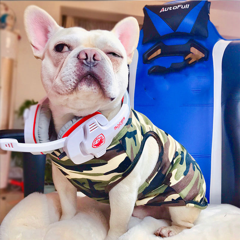 Fashionable Pet Summer T-Shirt Lightweight Casual Wear