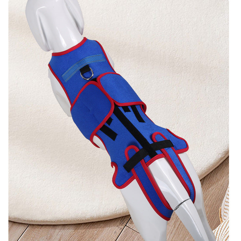 Pet Spine Support Jacket Posture Correction Protective Wear