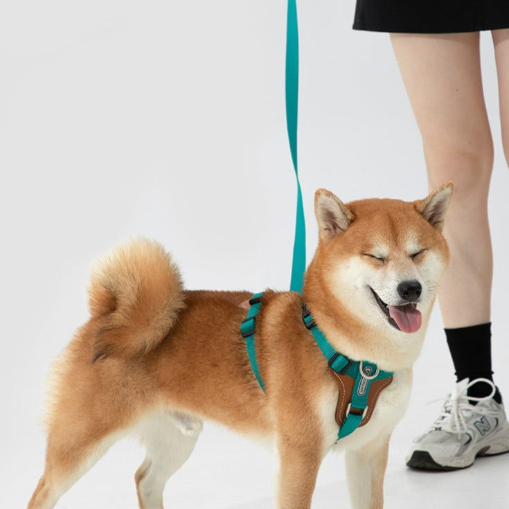 Multifunctional Pet Rope Leash With Chest Strap For Control