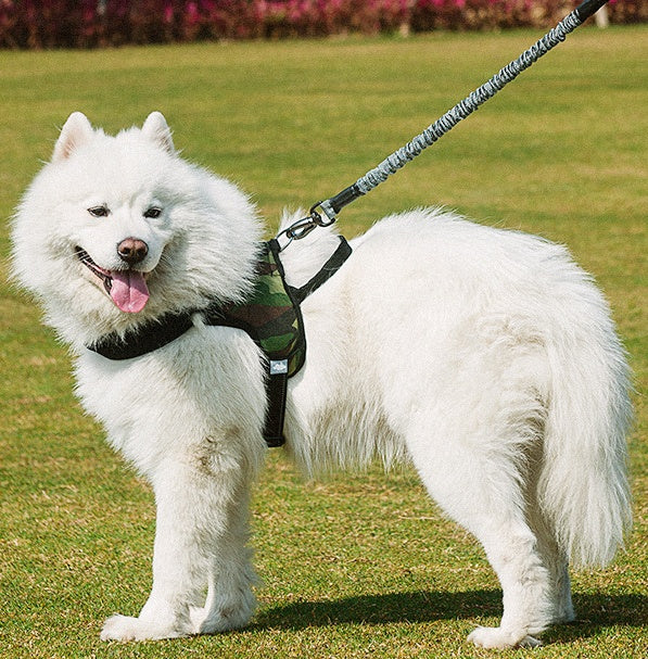 Reflective Anti Escape Pet Harness With Leash