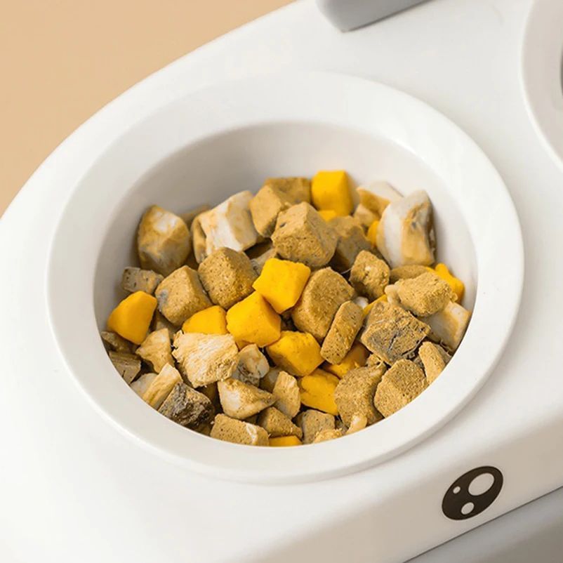 Duck Design Double Bowl Pet Feeding Tray Set