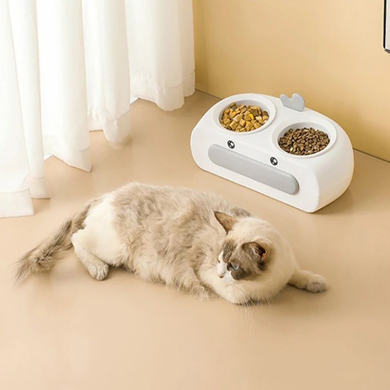 Duck Design Double Bowl Pet Feeding Tray Set