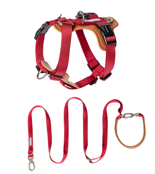 Multifunctional Pet Rope Leash With Chest Strap For Control