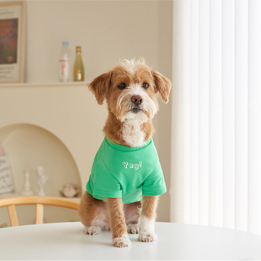Korean Style Cotton Short Sleeve Printed Pet T Shirt