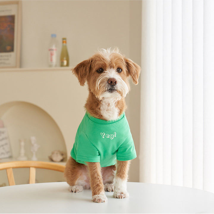 Korean Style Cotton Short Sleeve Printed Pet T Shirt