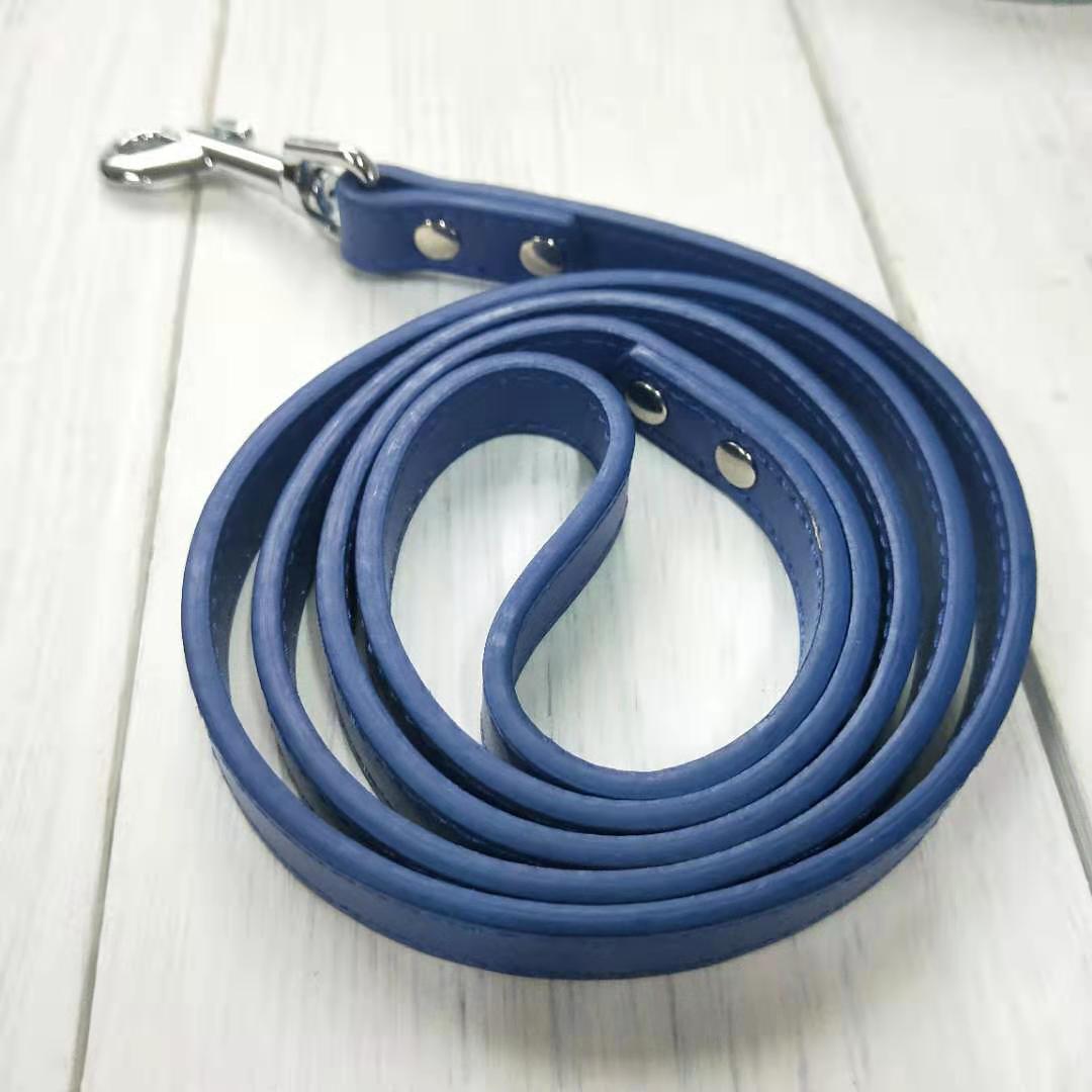 Pet Leash Collar Set For Secure Daily Walks