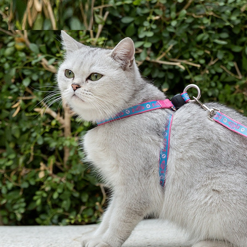 Pet Bell Vest Harness Leash Set For Walks