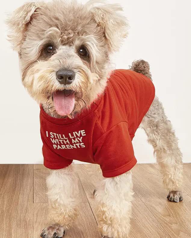 Round Neck Pet T Shirt Casual Clothing