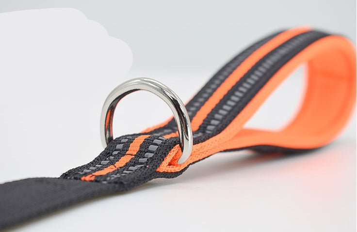 Retractable Nylon Pet Leash For Assisted Walking Control