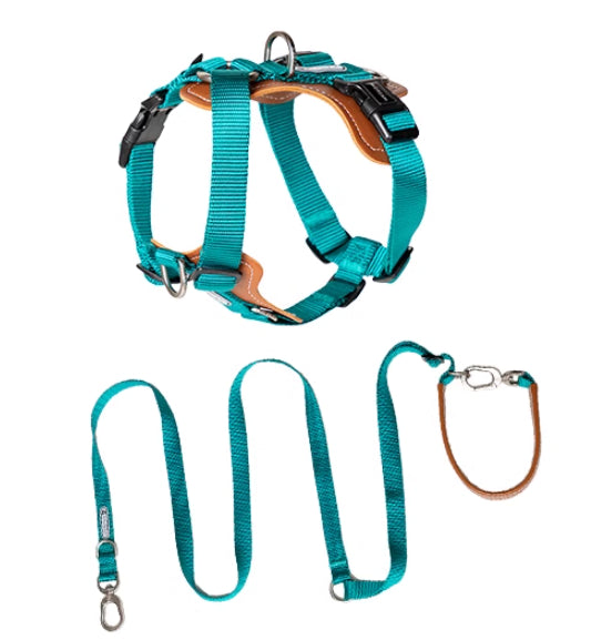 Multifunctional Pet Rope Leash With Chest Strap For Control