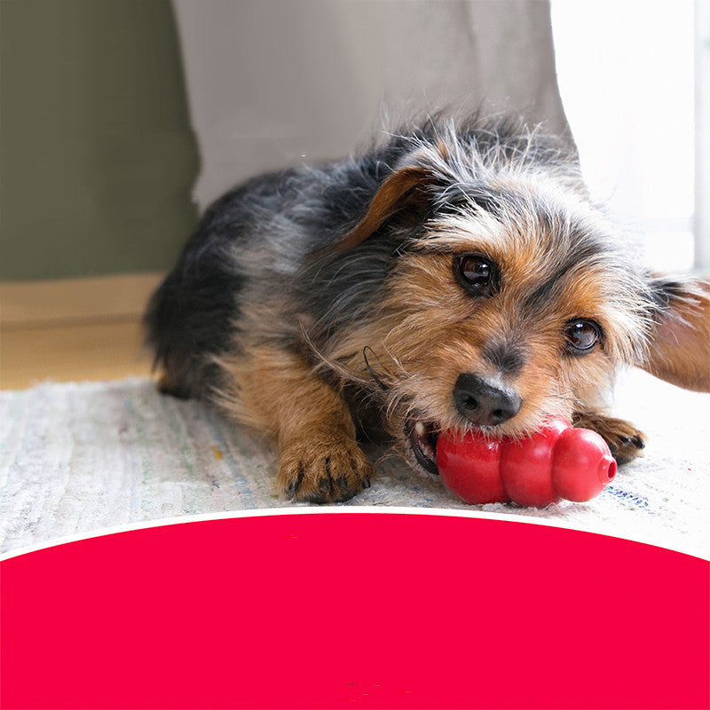 Rubber Pet Chew And Grinding Toy