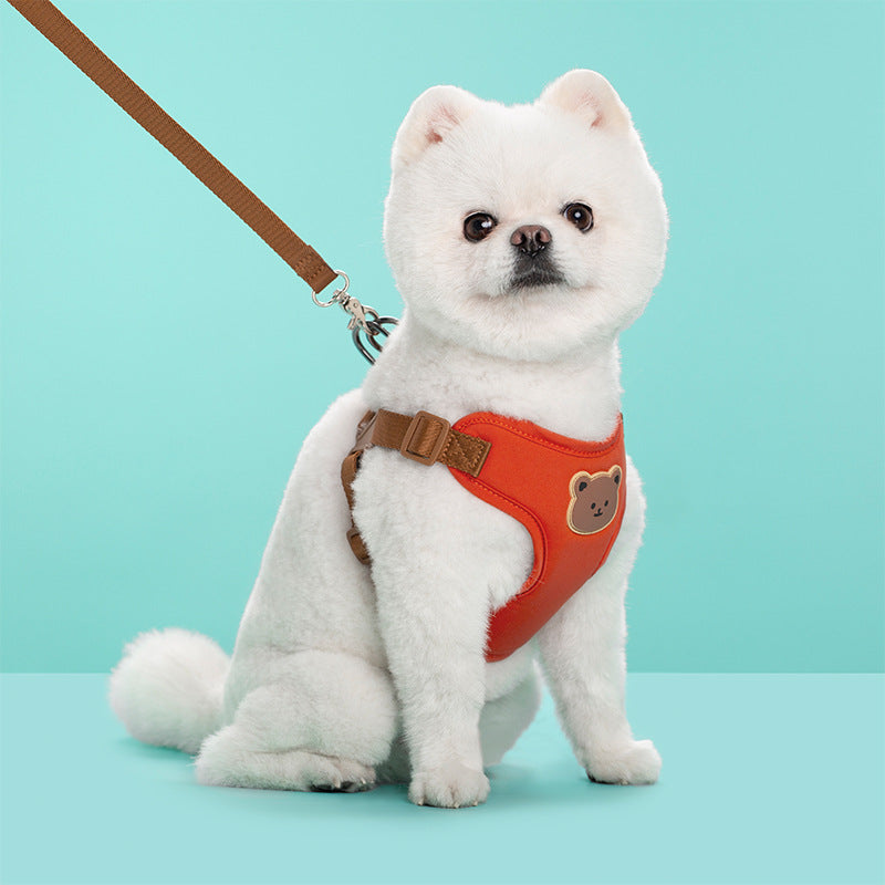 Pet Outing Strap Leash For Daily Walks