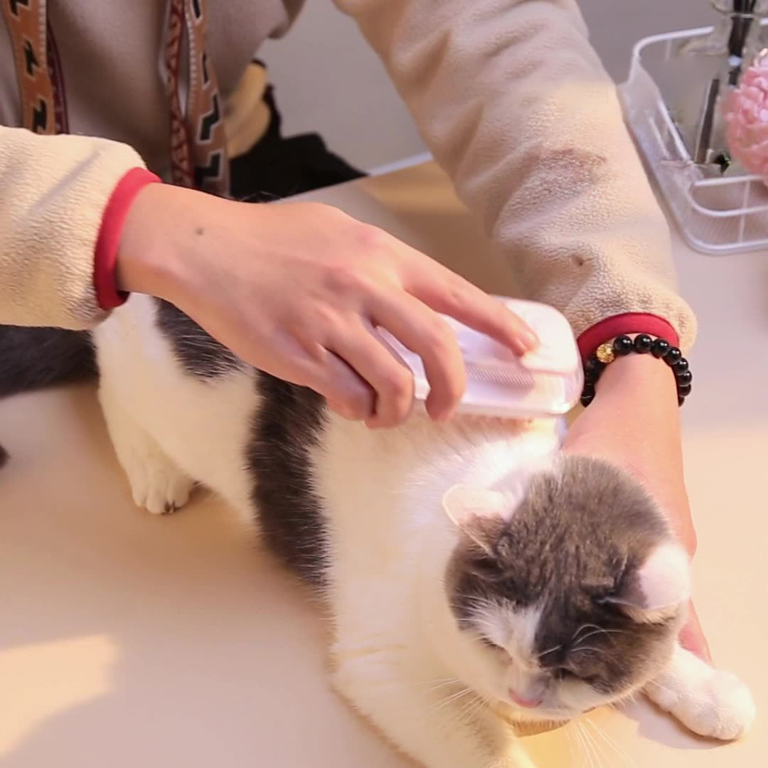 Pet Bath Care Grooming Cleaning Supplies