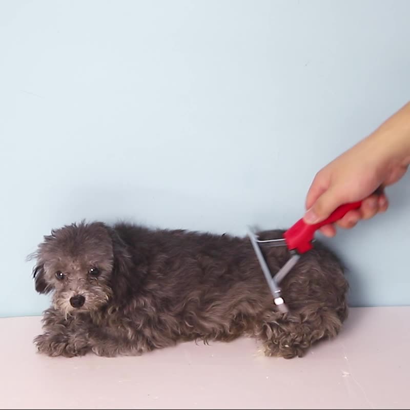 Extra Large Pet Rake Comb Deshedding Grooming Brush Tool