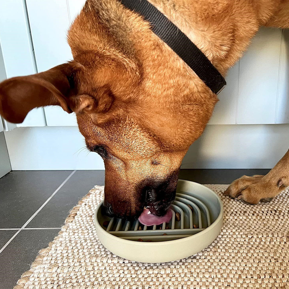 Simple Fashion Pet Slow Feeding Bowl Anti Choke