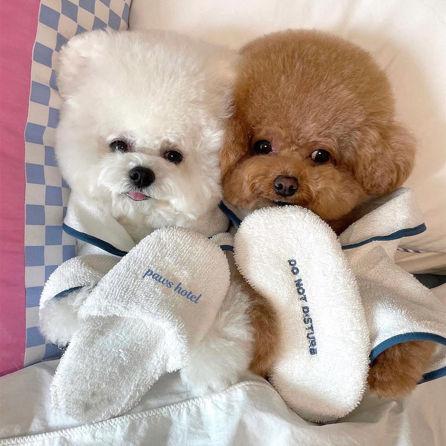 Pet Bath Towel Bathrobe Pajamas Photo Prop Nightgown