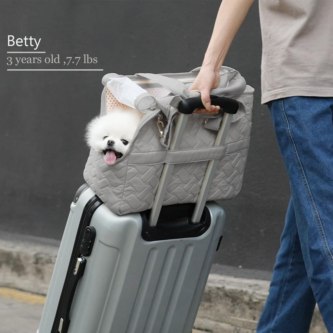 Breathable Pet Carrier Handbag Mesh Cushion Travel Tote