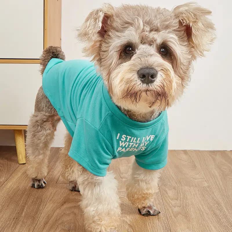 Round Neck Pet T Shirt Casual Clothing