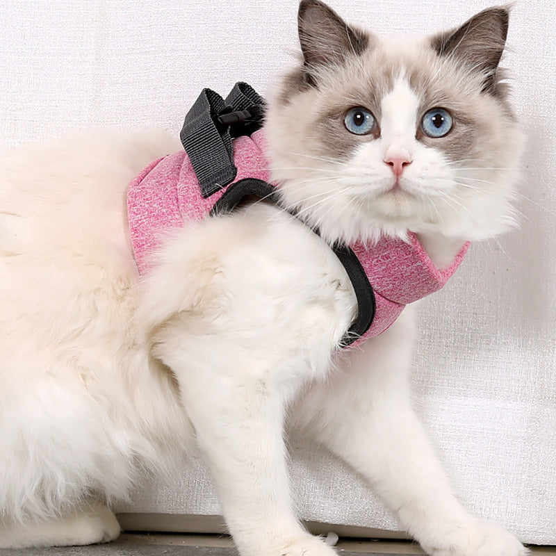 Breathable Lightweight Lace Pet Chest Strap Leash