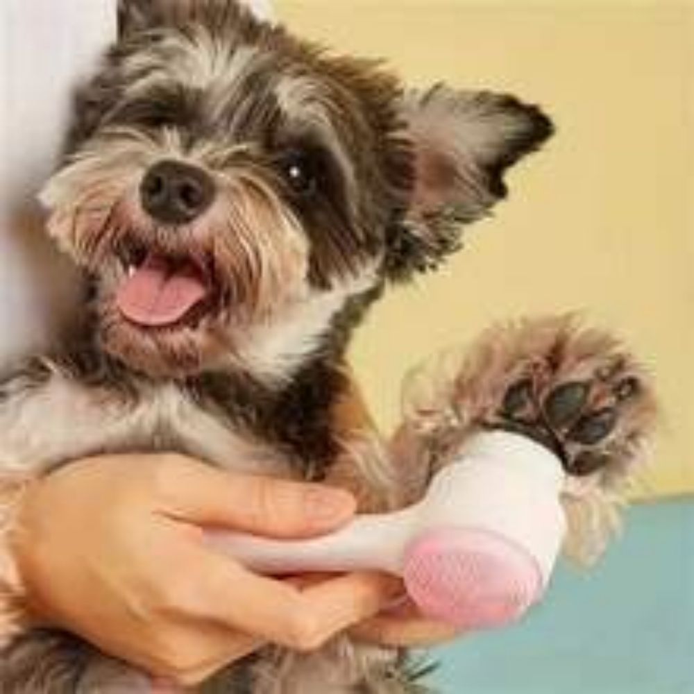 Nylon Pet Paw Brush Gentle Grooming Massage Cleaning Tool