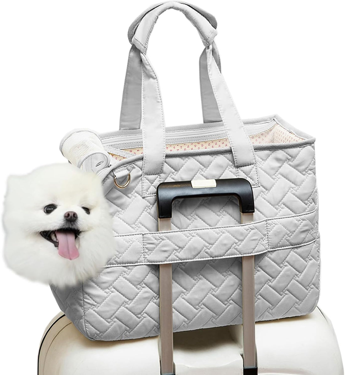 Breathable Pet Carrier Handbag Mesh Cushion Travel Tote