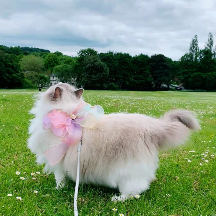 Retractable Butterfly Style Pet Leash For Secure Walks