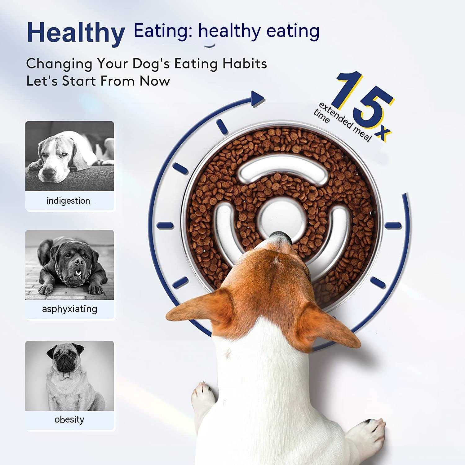 Stainless Steel Pet Slow Feeding Bowl Neck Protection
