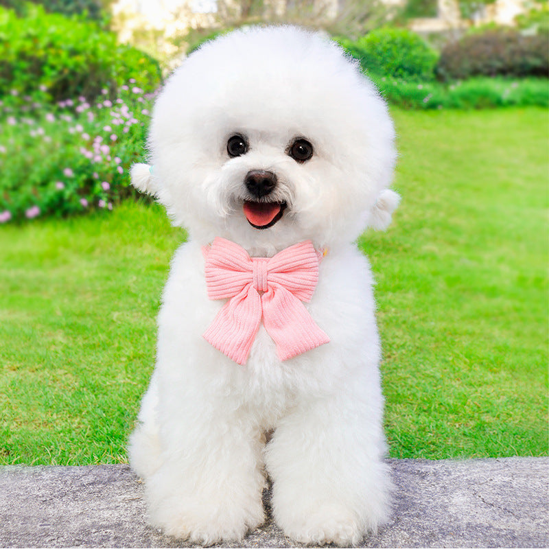 Outdoor Pet Harness And Leash Set For Walking Control