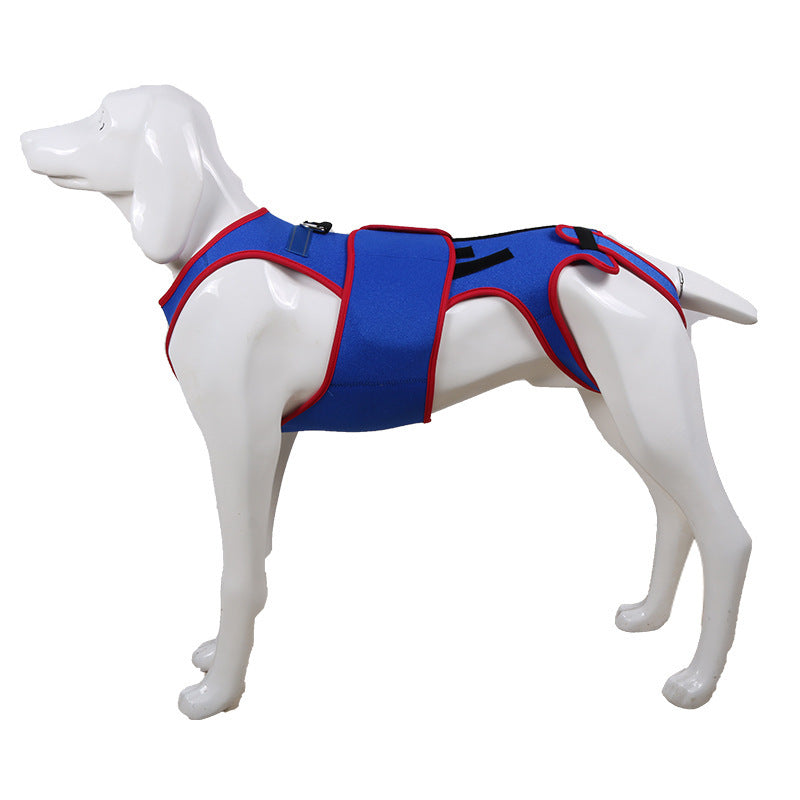 Pet Spine Support Jacket Posture Correction Protective Wear