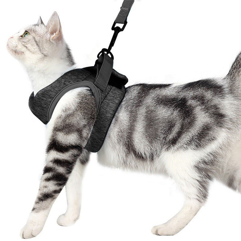 Breathable Lightweight Lace Pet Chest Strap Leash