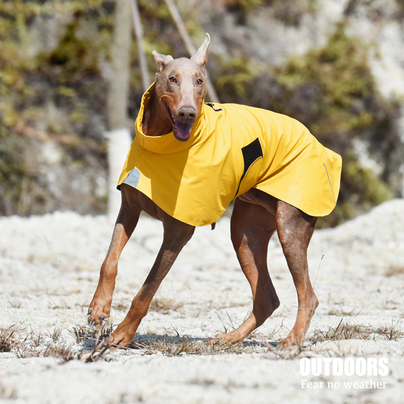Waterproof Windproof Pet Shell Raincoat Jacket Safety Wear