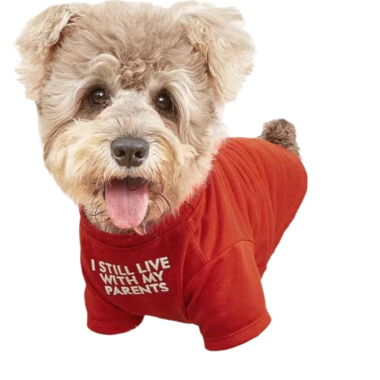 Round Neck Pet T Shirt Casual Clothing