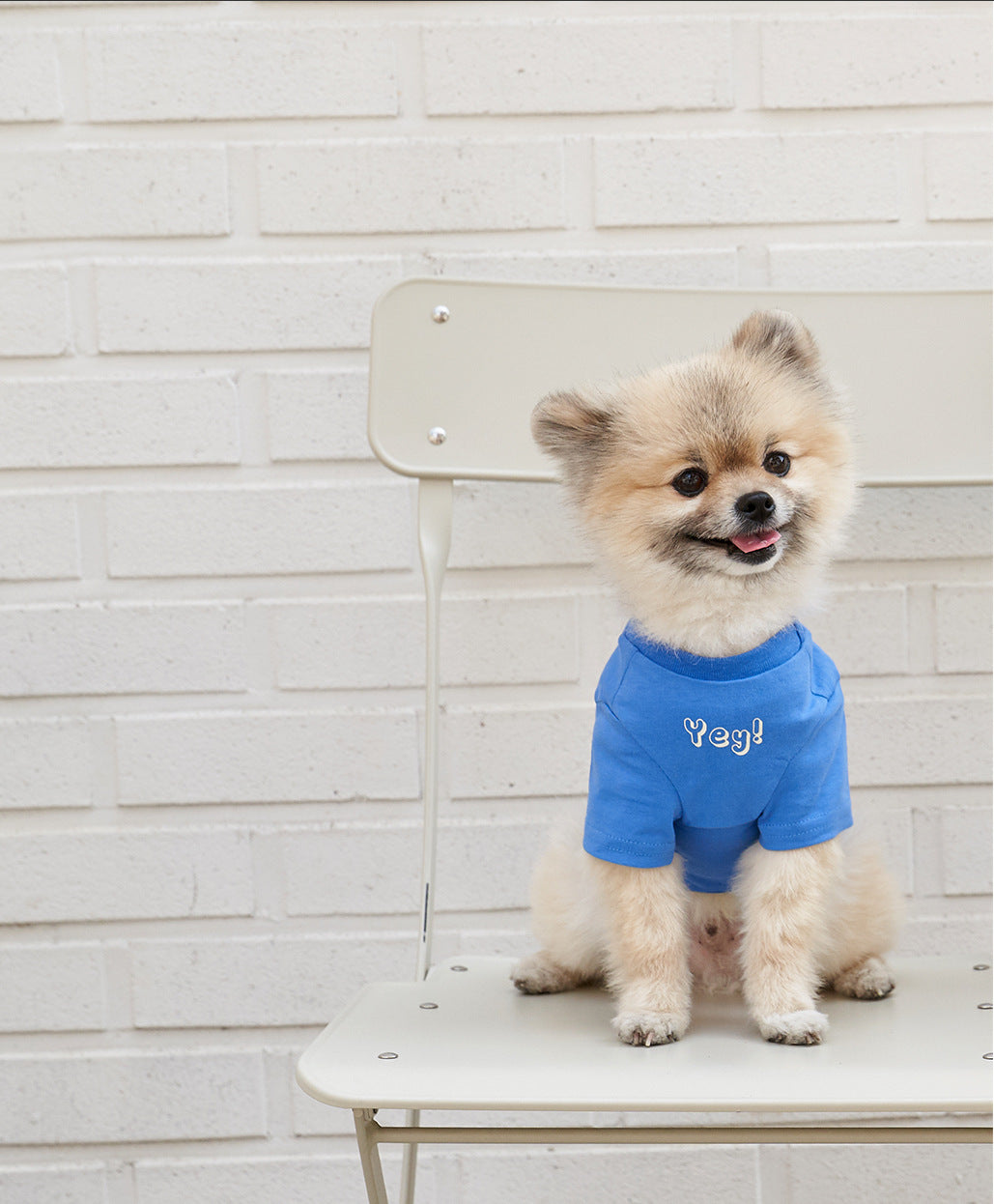 Korean Style Cotton Short Sleeve Printed Pet T Shirt