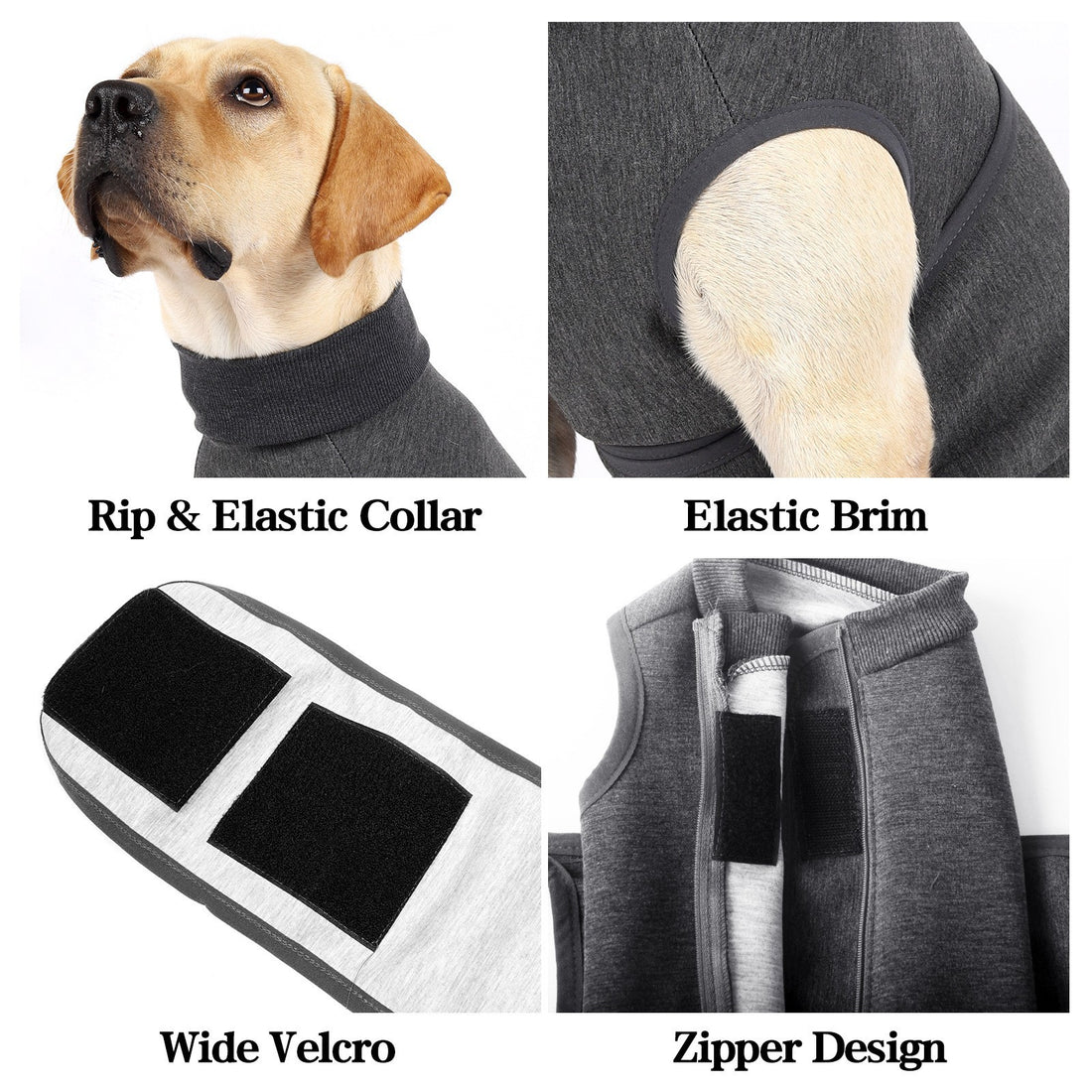 Polyester Emotional Comfort Cotton Double Pet Jacket