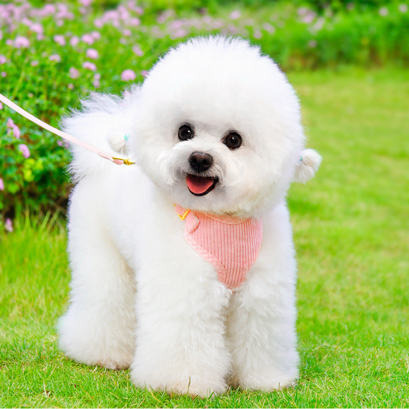 Outdoor Pet Harness And Leash Set For Walking Control